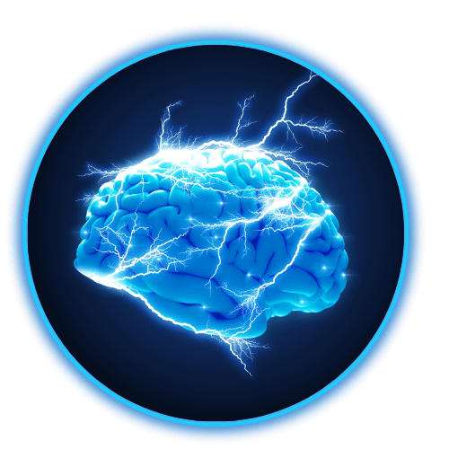 Brain